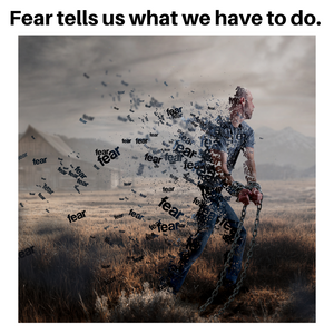 Fear tells us what we have to do.