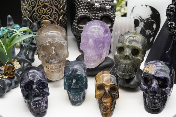 Skulls / Skeletons