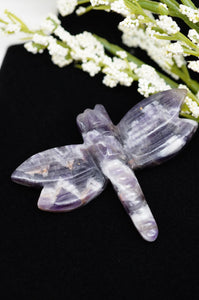 Dragonfly Chevron Banded Amethyst Crystal Carving