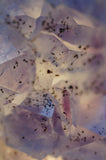Amethyst Crystal Cluster Lamp
