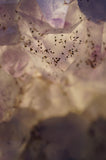 Amethyst Crystal Cluster Lamp