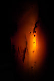 Natural Agate Crystal Lamps