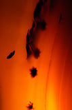 Natural Agate Crystal Lamps