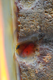 Natural Agate Crystal Lamps