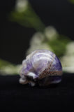 Amethyst Skull Crystal Carving
