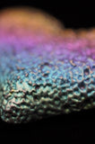 Rainbow Titanium Bismuth Heart
