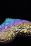 Rainbow Titanium Bismuth Heart
