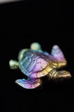 Rainbow Titanium Turtle