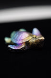 Rainbow Titanium Turtle