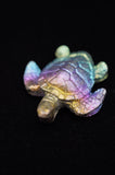 Rainbow Titanium Turtle