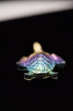 Rainbow Titanium Turtle