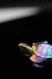 Rainbow Titanium Turtle