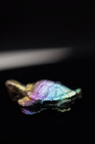 Rainbow Titanium Turtle