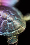 Rainbow Titanium Turtle