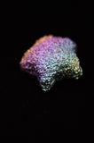 Rainbow Titanium Bismuth Star