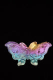 Rainbow Titanium Butterflies and Moths