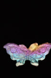 Rainbow Titanium Butterflies and Moths