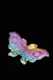Rainbow Titanium Butterflies and Moths