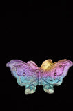 Rainbow Titanium Butterflies and Moths