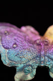 Rainbow Titanium Butterflies and Moths