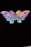 Rainbow Titanium Butterflies and Moths
