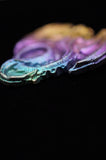 Rainbow Titanium Dragon