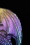 Rainbow Titanium Dragon