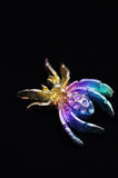 Rainbow Titanium Spider