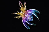 Rainbow Titanium Spider