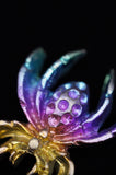 Rainbow Titanium Spider