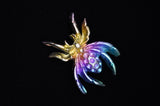 Rainbow Titanium Spider