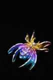 Rainbow Titanium Spider
