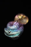 Rainbow Titanium Cobra Snake