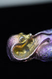 Rainbow Titanium Cobra Snake