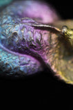 Rainbow Titanium Cobra Snake