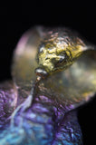 Rainbow Titanium Cobra Snake