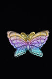 Rainbow Titanium Butterflies and Moths