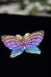 Rainbow Titanium Butterflies and Moths