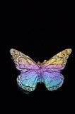 Rainbow Titanium Butterflies and Moths