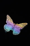 Rainbow Titanium Butterflies and Moths