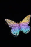Rainbow Titanium Butterflies and Moths
