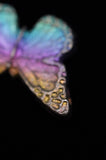 Rainbow Titanium Butterflies and Moths