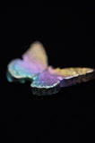 Rainbow Titanium Butterflies and Moths