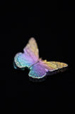 Rainbow Titanium Butterflies and Moths