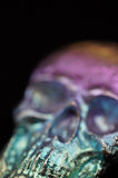 Rainbow Titanium Skull