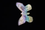Rainbow Titanium Butterflies and Moths