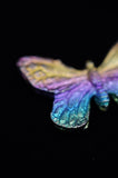 Rainbow Titanium Butterflies and Moths