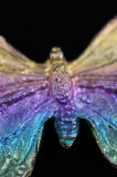 Rainbow Titanium Butterflies and Moths