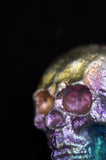 Rainbow Titanium Skull