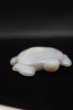 Quartz Druzy Rainbow Coated Titanium Turtle
